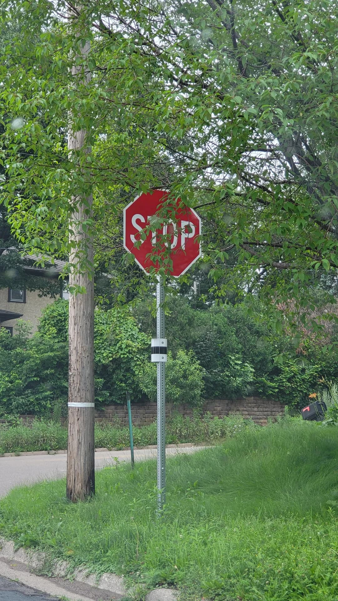A stop sign partially obscured by tree branches and foliage